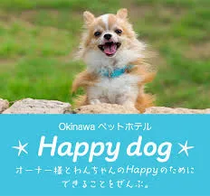 Happy dog Okinawa